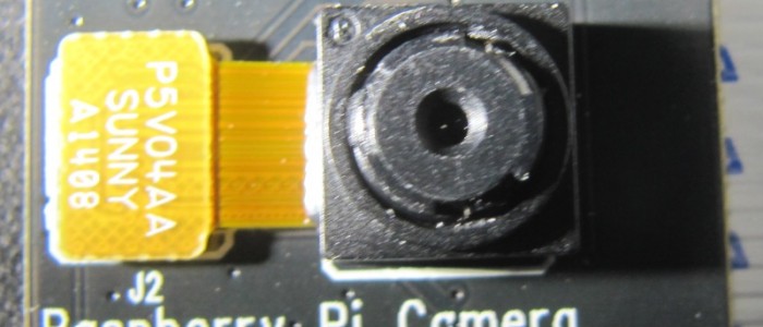 module caméra infrarouge du Raspberry pi