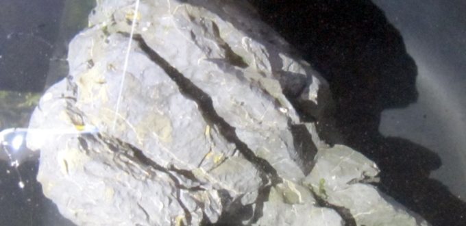 Seiyru stone typique