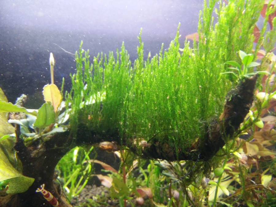 img_20180513_191629.jpg img_20180513_191629.jpg