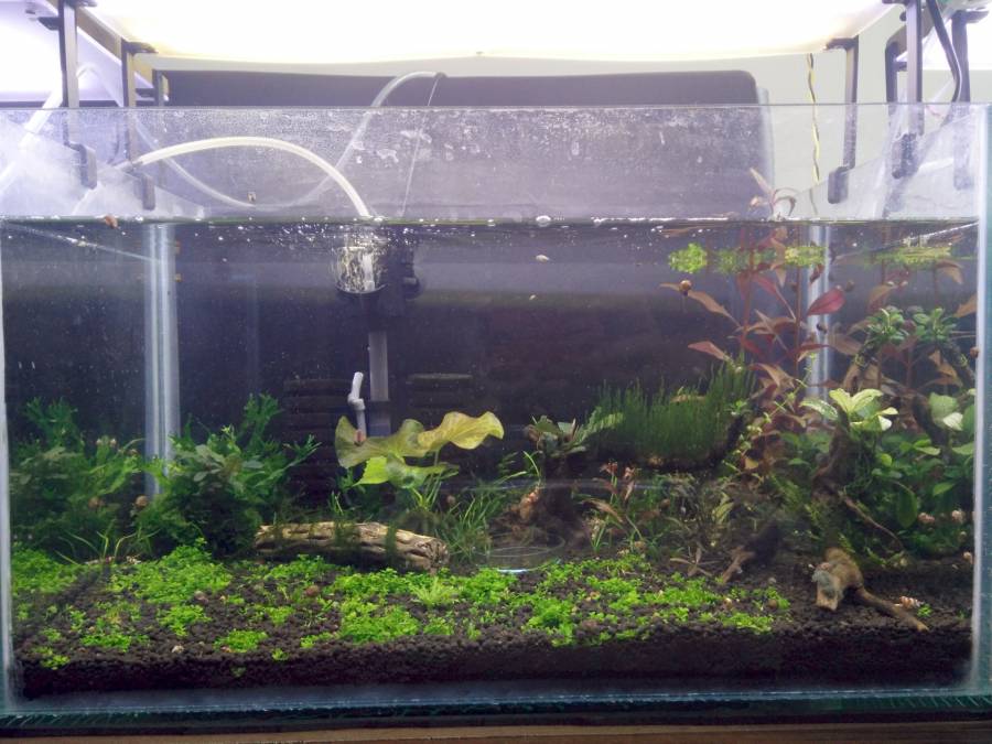 img_20180504_154801_1920.jpg img_20180504_154801_1920.jpg