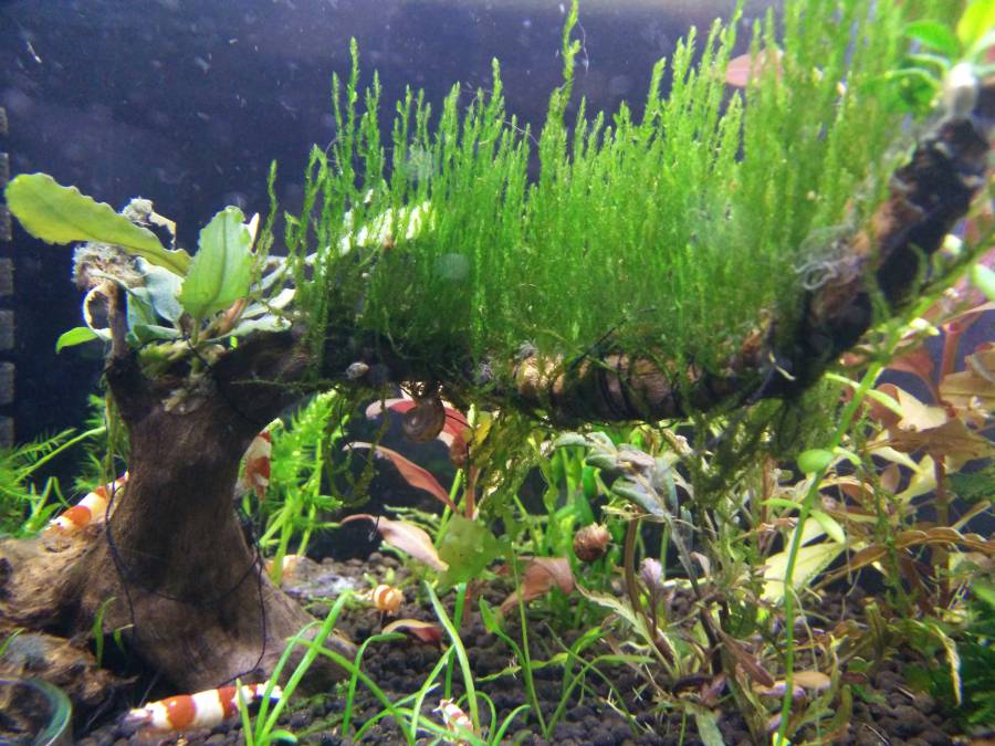 img_20180504_154817.jpg img_20180504_154817.jpg