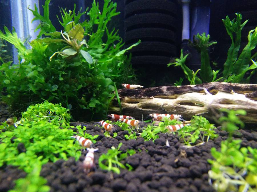 img_20180329_193016.jpg img_20180329_193016.jpg