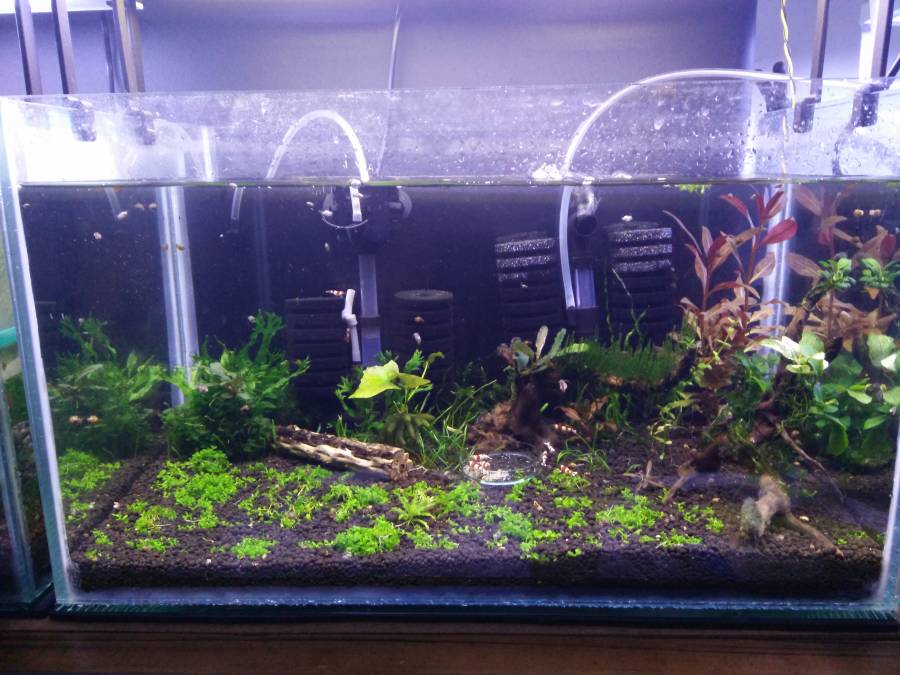 img_20180412_215504.jpg img_20180412_215504.jpg