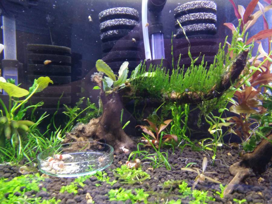 img_20180412_215623.jpg img_20180412_215623.jpg