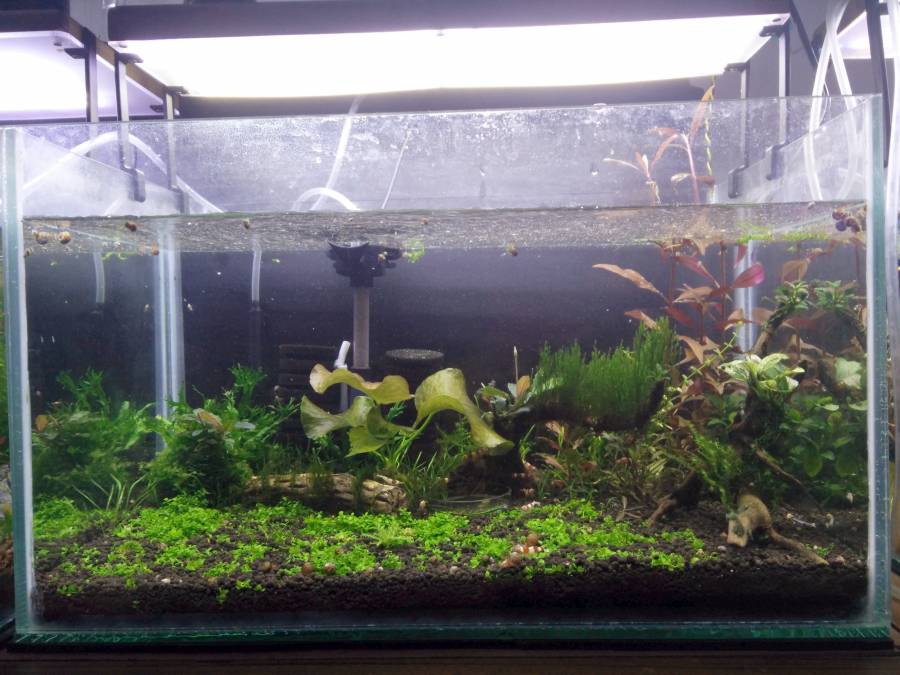 img_20180513_192339_2500.jpg img_20180513_192339_2500.jpg